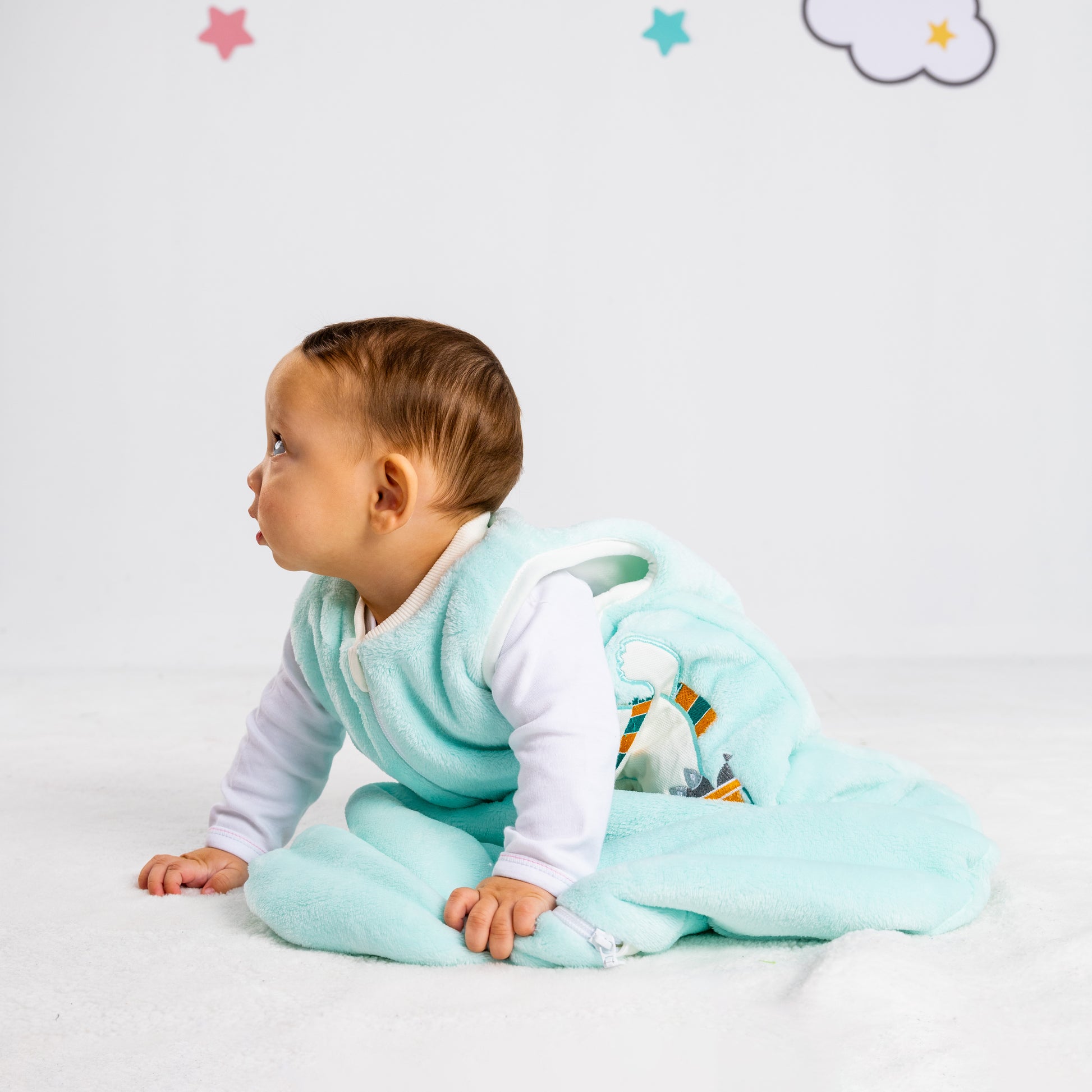 Baby Blue Bear- Sleeveless Polar Fleece Basic Sleeping Bag