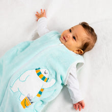 Load image into Gallery viewer, Baby Blue Bear- Sleeveless Polar Fleece Basic Sleeping Bag
