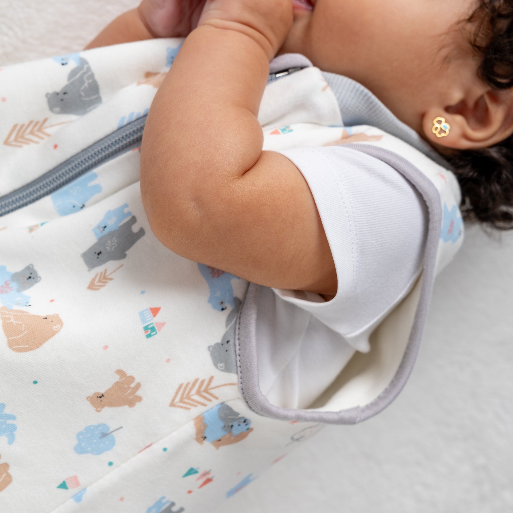 Polar Bear Summer/Spring Basic Sleeping Bag