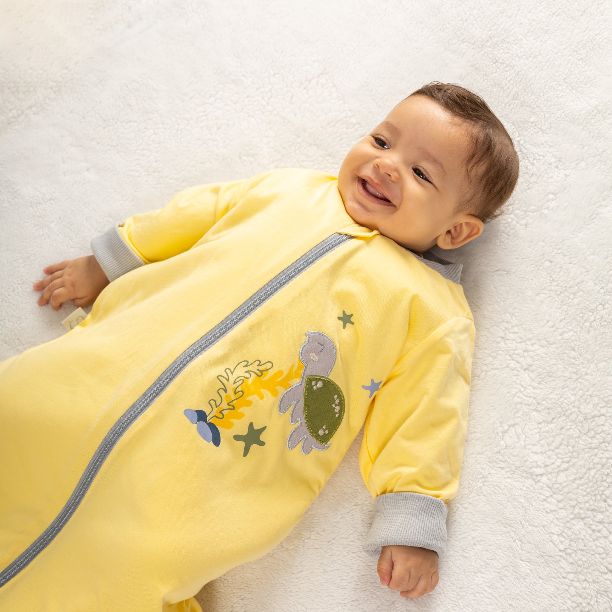 Turtle- Sleeved Summer/Spring Basic Sleeping Bag