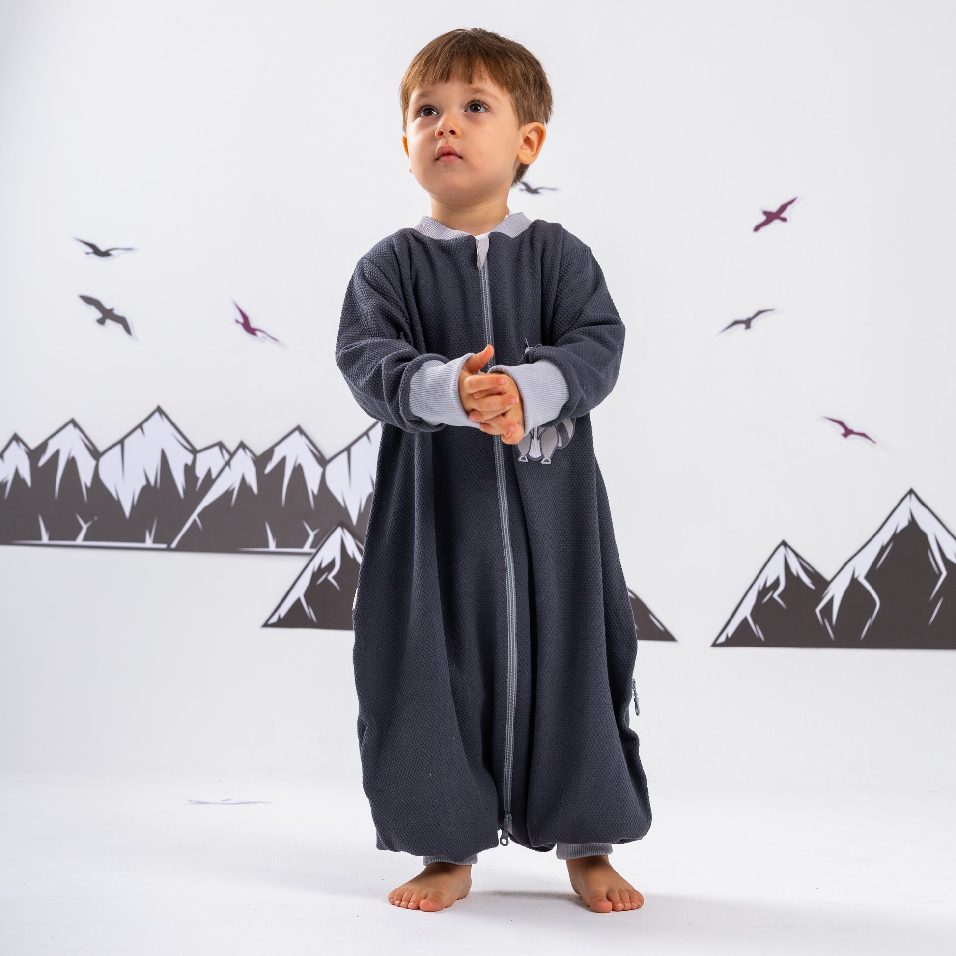 Raccoon- Sleeved Extra-Light Summer Walker Sleeping Bag