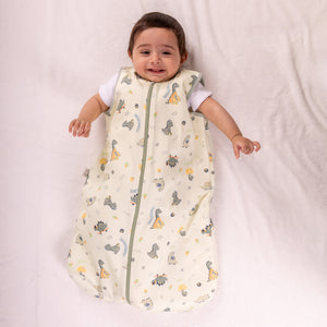 Dino Doodles- Sleeveless Summer/Spring Basic Sleeping Bag